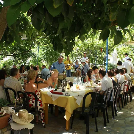 Sebastian's Family And Taverna - Agios Gordios