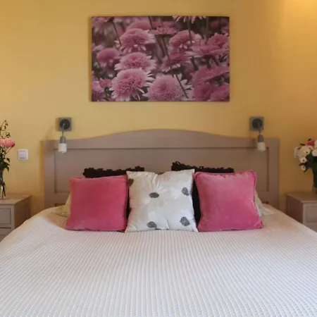 Sebastian's - Agios Gordios 아파트